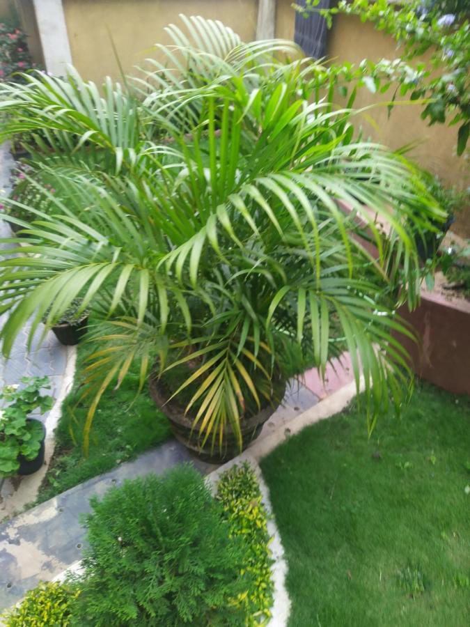 Rio Homestay Haputale Buitenkant foto