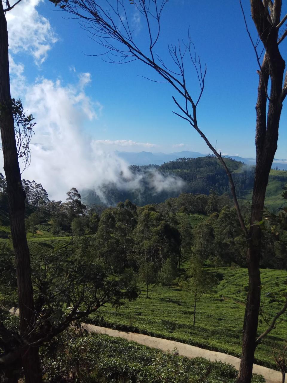 Rio Homestay Haputale Buitenkant foto