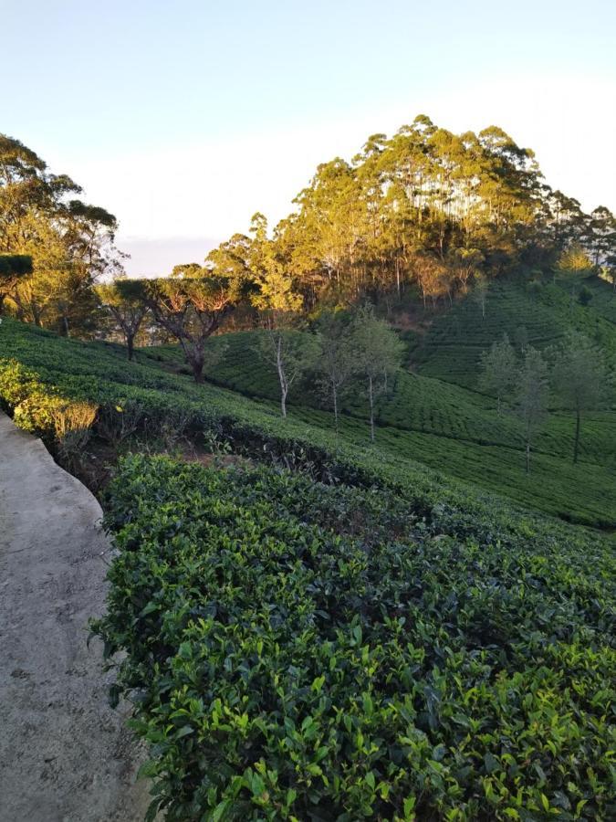 Rio Homestay Haputale Buitenkant foto
